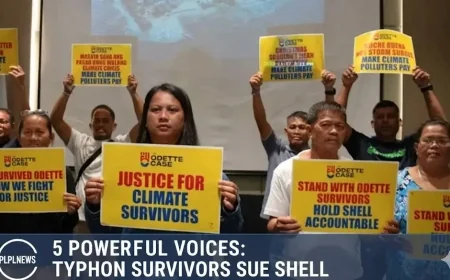 5 Powerful Voices: Typhoon Survivors Sue Shell