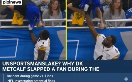 Unsportsmanlike? Why DK Metcalf Slapped a Fan During the