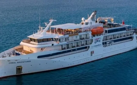 Cruise Ship Hits Reef on First Trip After Passenger Left Behind
