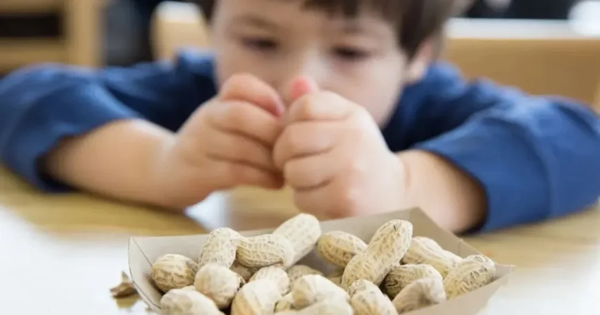 Snack Shown to Boost Memory in 16 Weeks