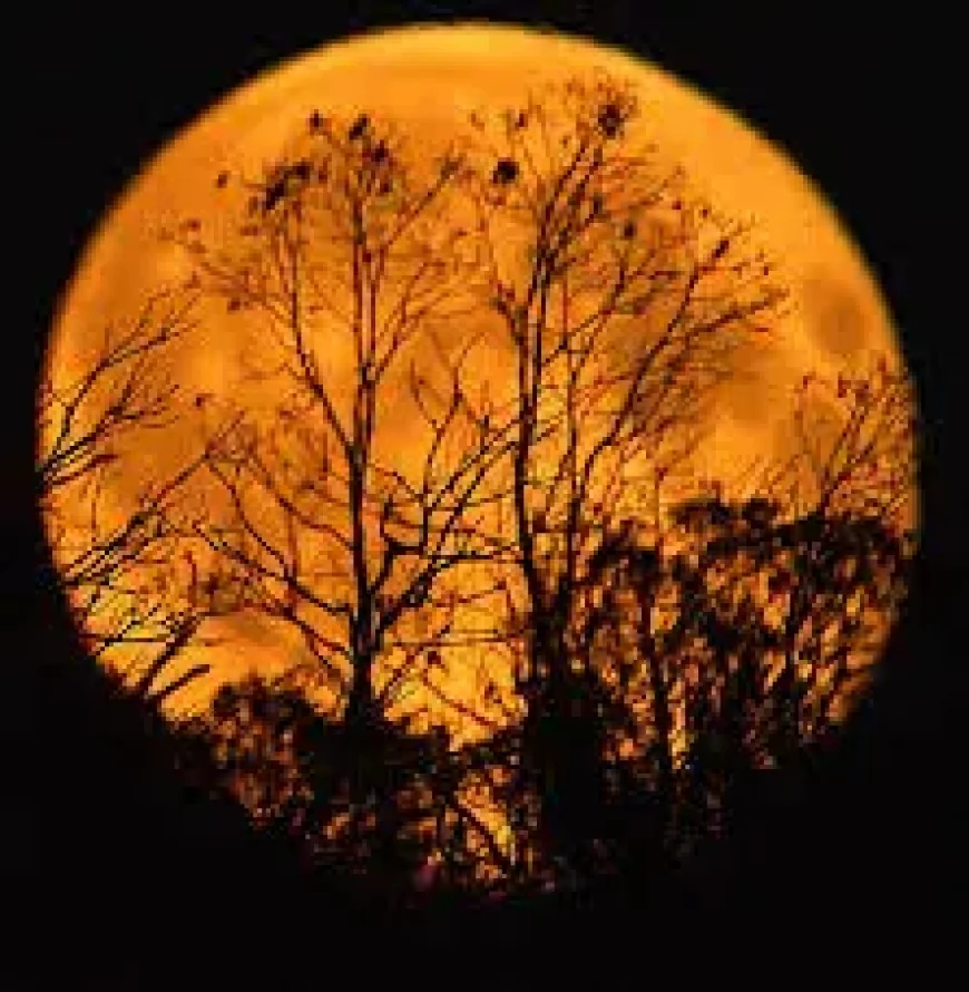 Last Supermoon of 2025 Shines Worldwide