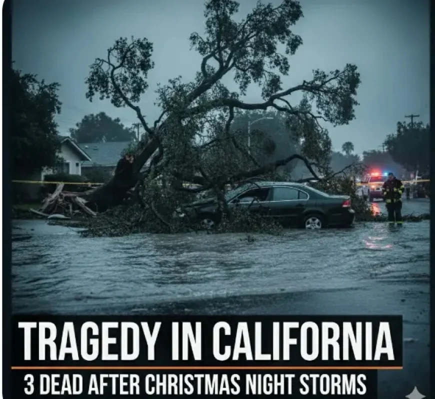 Tragedy in California: 3 Dead After Christmas Night Storms