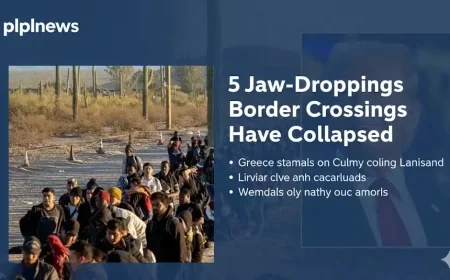 5 Jaw-Dropping Proofs Border Crossings Have Collapsed