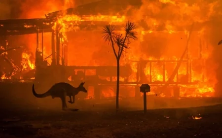 Australia on Edge as Catastrophic Bushfires Destroy Homes
