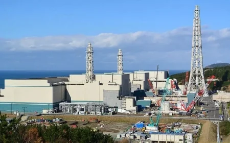Japan Halts World’s Largest Nuclear Plant Hours After Restart