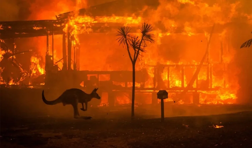 Australia on Edge as Catastrophic Bushfires Destroy Homes