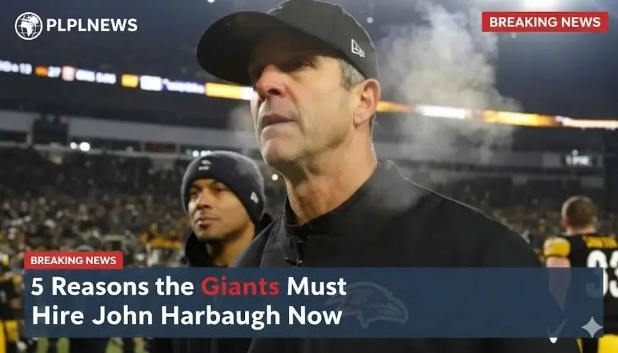 5 Reasons the Giants Must Hire John Harbaugh Now