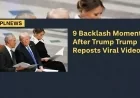 9 Backlash Moments After Trump Reposts Viral Video