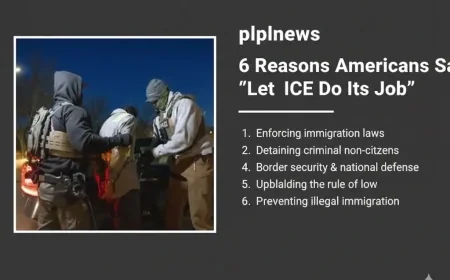 6 Reasons Americans Say “Let ICE Do Its Job”