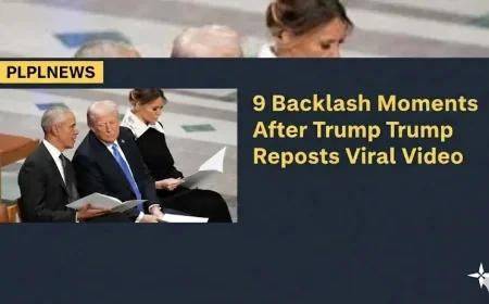 9 Backlash Moments After Trump Reposts Viral Video