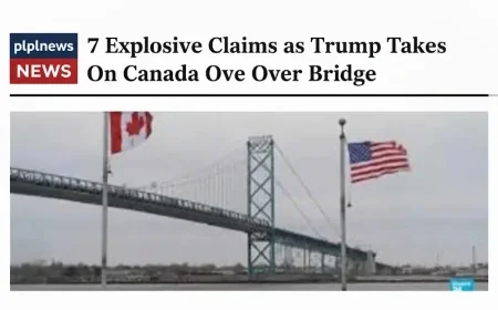 7 Explosive Claims as Trump Takes On Canada Over Bridge