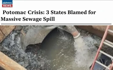 Potomac Crisis: 3 States Blamed for Massive Sewage Spill