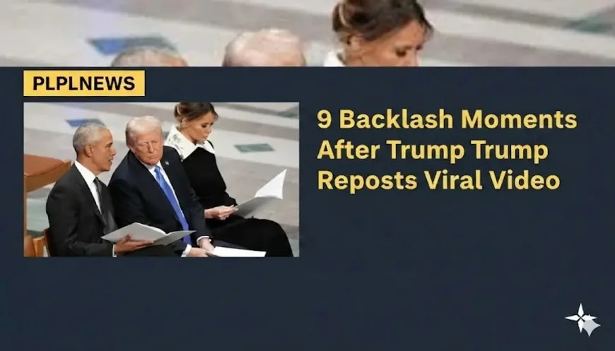 9 Backlash Moments After Trump Reposts Viral Video