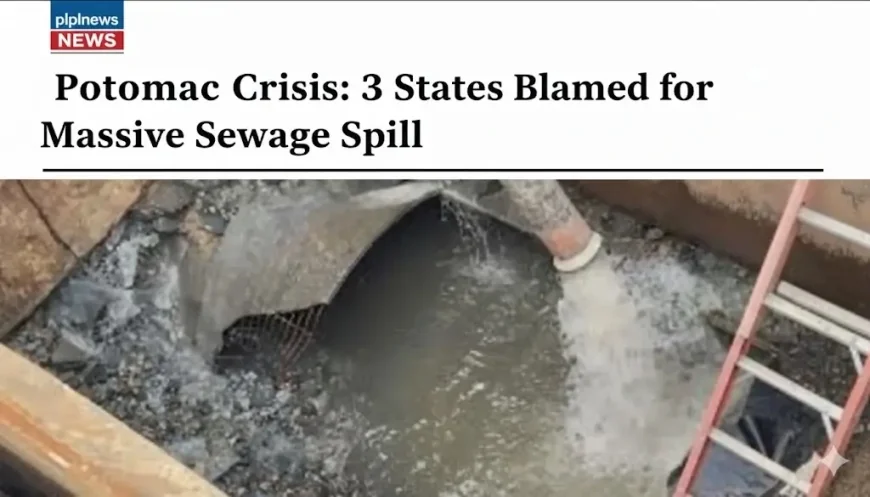 Potomac Crisis: 3 States Blamed for Massive Sewage Spill