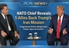 NATO Chief Reveals 5 Allies Back Trump’s Iran Mission