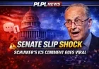 5 Shocking Moments From Schumer’s Senate Slip