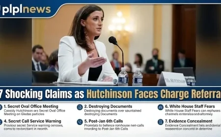 7 Shocking Claims as Hutchinson Faces Charge Referral