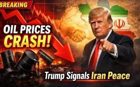 Oil Prices Crash as Trump Signals Iran Peace Talks