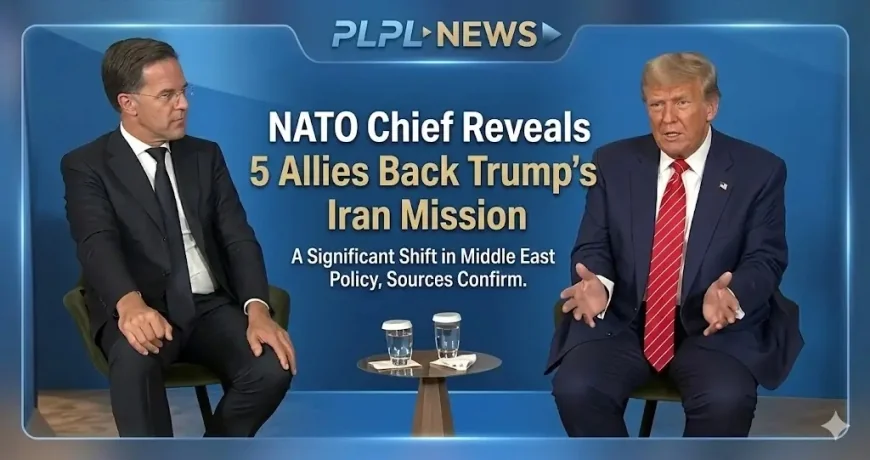 NATO Chief Reveals 5 Allies Back Trump’s Iran Mission
