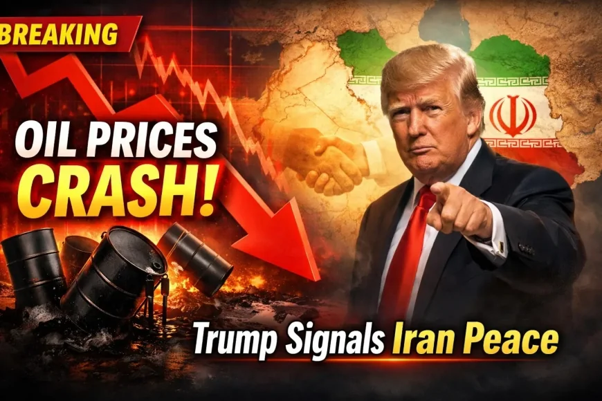 Oil Prices Crash as Trump Signals Iran Peace Talks