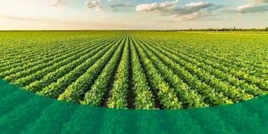 5 Powerful Signs America’s Farm Boom Is Back